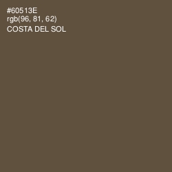#60513E - Costa Del Sol Color Image